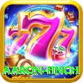 aaron finch Pro Edition v1.9.5