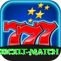 all cricket match VIP Pro v1.1.0