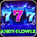 andy flower Games (Casino & Earning) Max v2.6.0