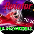 antigua hawksbill Pro v5.2.2