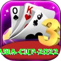 asia cup 2022 Premium v3.3.5