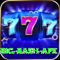 bbl big bash apk Turbo Pro v3.5.1