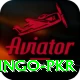 Bingo PKR VIP
