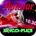 bingo Elite v2.8.2