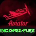 bingopkr Plus Pro v2.2.1