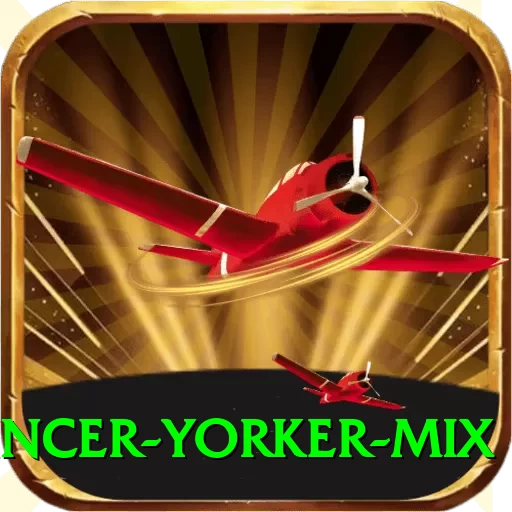 bouncer yorker mix Elite Pro v4.4.7 - 2