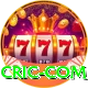 cric com Gold Edition v4.4.4
