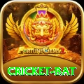 cricket bat Elite Pro v5.9.4