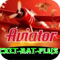 cricket bat Gold PK v2.3.1