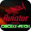 cricket pitch Master Pro v5.1.6
