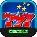 crickex Plus vv5.6.3