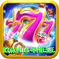 david wiese VIP Pro v2.9.8