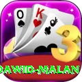 dawid malan Max Pro v2.0.5
