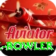 economy rate bowler Pro Max v4.0.6