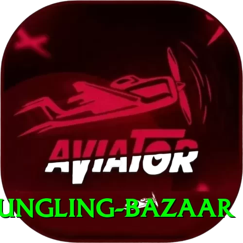 fungling bazaar Pro Edition v5.9.4 - 2