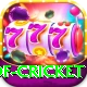 god of cricket Gold v5.0.3