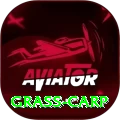 grass carp Pro Max v5.2.1