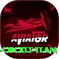 hong kong cricket team Pro v1.4.4