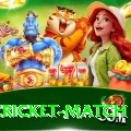 india cricket match Pro1 v2.0.5