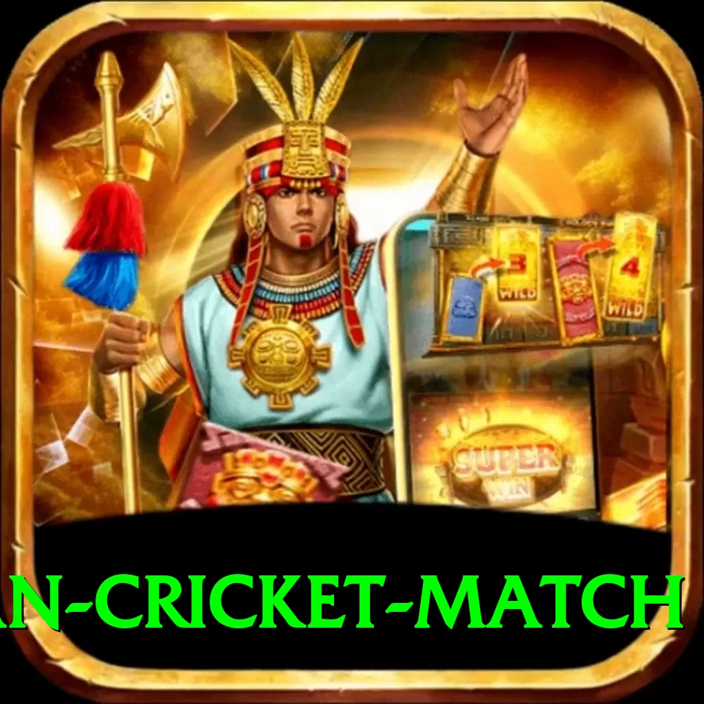 india pakistan cricket match Deluxe v2.1.1 - 2