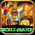 india pakistan cricket match Deluxe v2.1.1