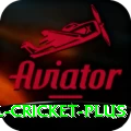 international cricket Game Royal v1.1.9