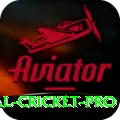 international cricket Casino Official v4.1.0