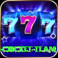 ireland cricket team Premium v2.6.2