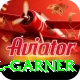 joel garner Ultimate Pro v1.1.7