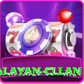 keep himalayan clean VIP Pro v4.9.1