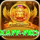 marizanne kapp - King Earning App
