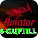 martin guptill VIP Edition v1.9.7