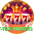most test wickets Ultimate v3.6.1