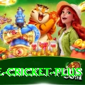 one cricket Gold PK v3.5.8