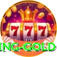 Online Casino Pakistan - Gaming Gold
