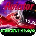pakistan women cricket team Turbo v3.3.8