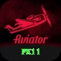pk11 App