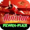 pkwin VIP Edition v1.8.3