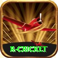 r cricket Pro Max v3.9.1