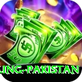 responsible gambling pakistan Elite Pro v1.8.2