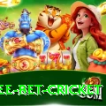 risk free bet cricket VIP Edition v5.8.2