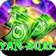 ryan burl VIP Pro v2.4.2