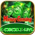 smart cricket live Premium v2.8.6