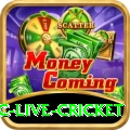 smartcric live cricket Games (Casino & Earning) Max v2.1.6