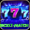 to day cricket match Elite v1.2.5