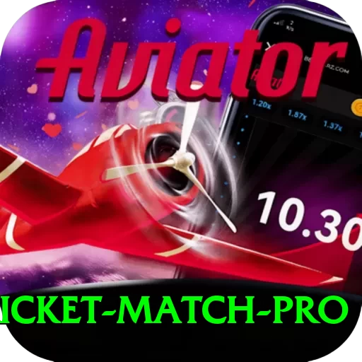to day cricket match Premium PK v3.1.8 - 2