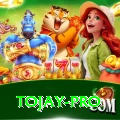 tojay Super Gaming App