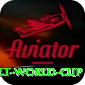 u19 cricket world cup Gold Pro v1.6.0