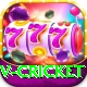 v cricket Games (Casino & Earning) Ultimate v5.0.5