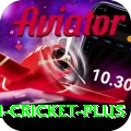 virat kohli cricket Casino King v4.0.1
